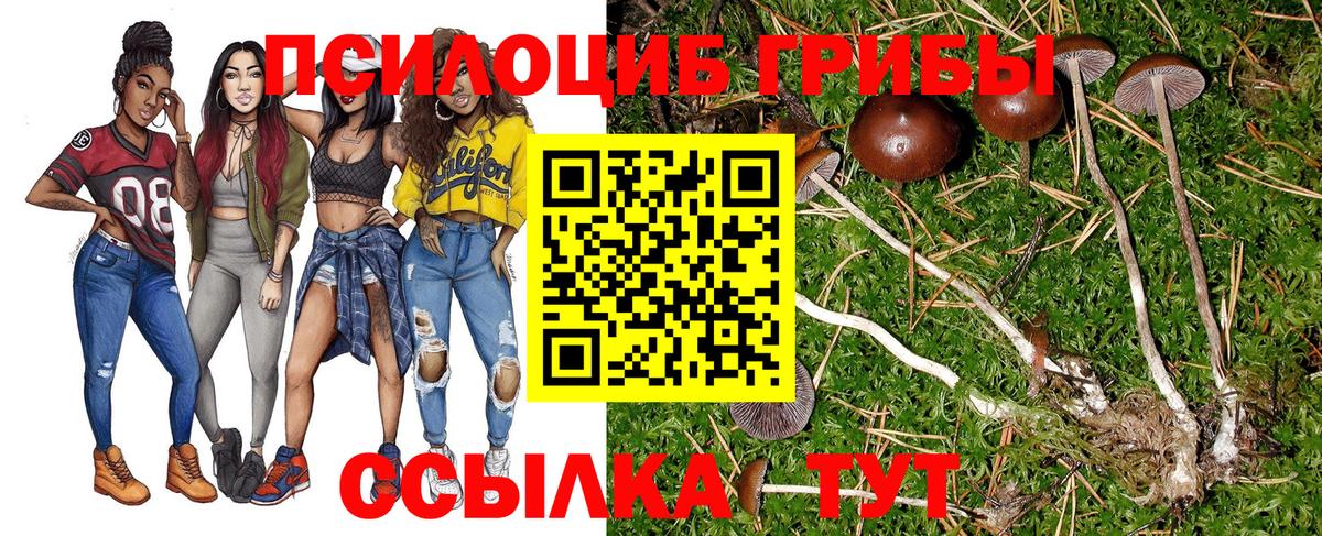Тула  Галлюциногенные грибы MAGIC MUSHROOMS  наркотики  Вход с VPN  Псилоцибиновые грибы ЛСД 