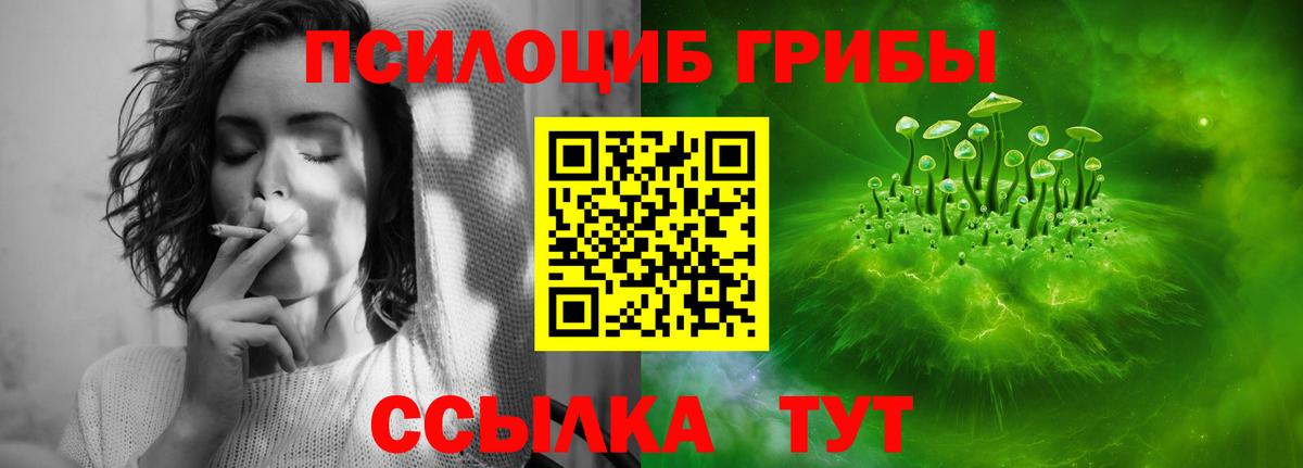 Галлюциногенные грибы мицелий Тула